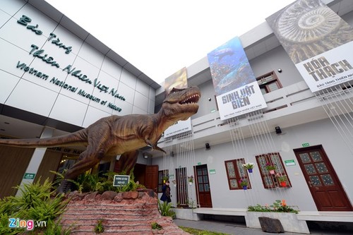 Посещение первого музея природы во Вьетнаме - ảnh 1